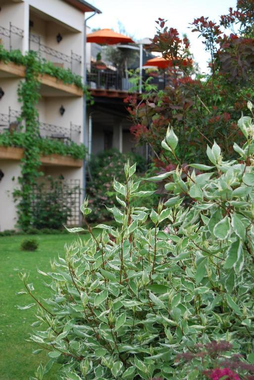 Hostellerie Gilain Achêne Εξωτερικό φωτογραφία